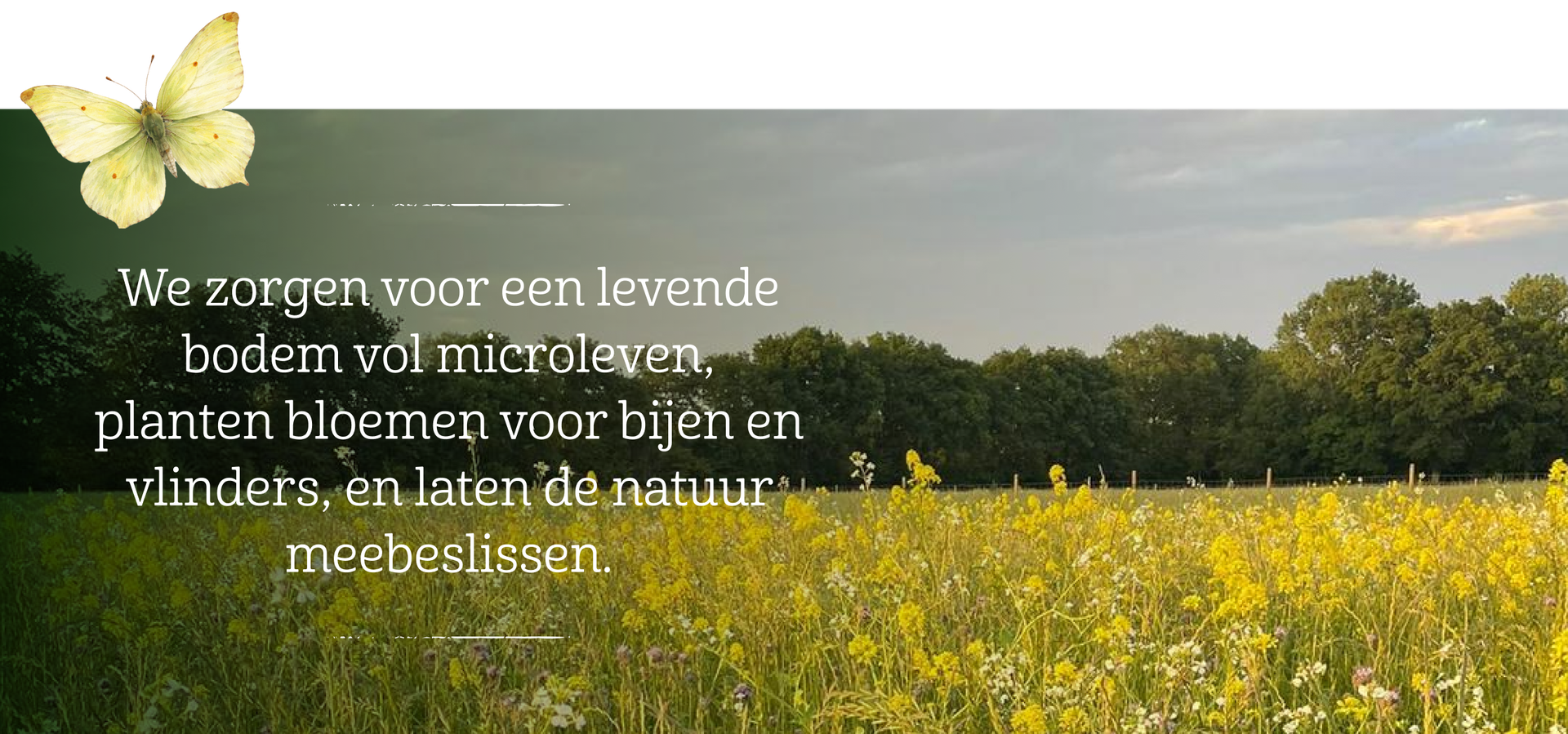 een levende bodem in de voedseltuin