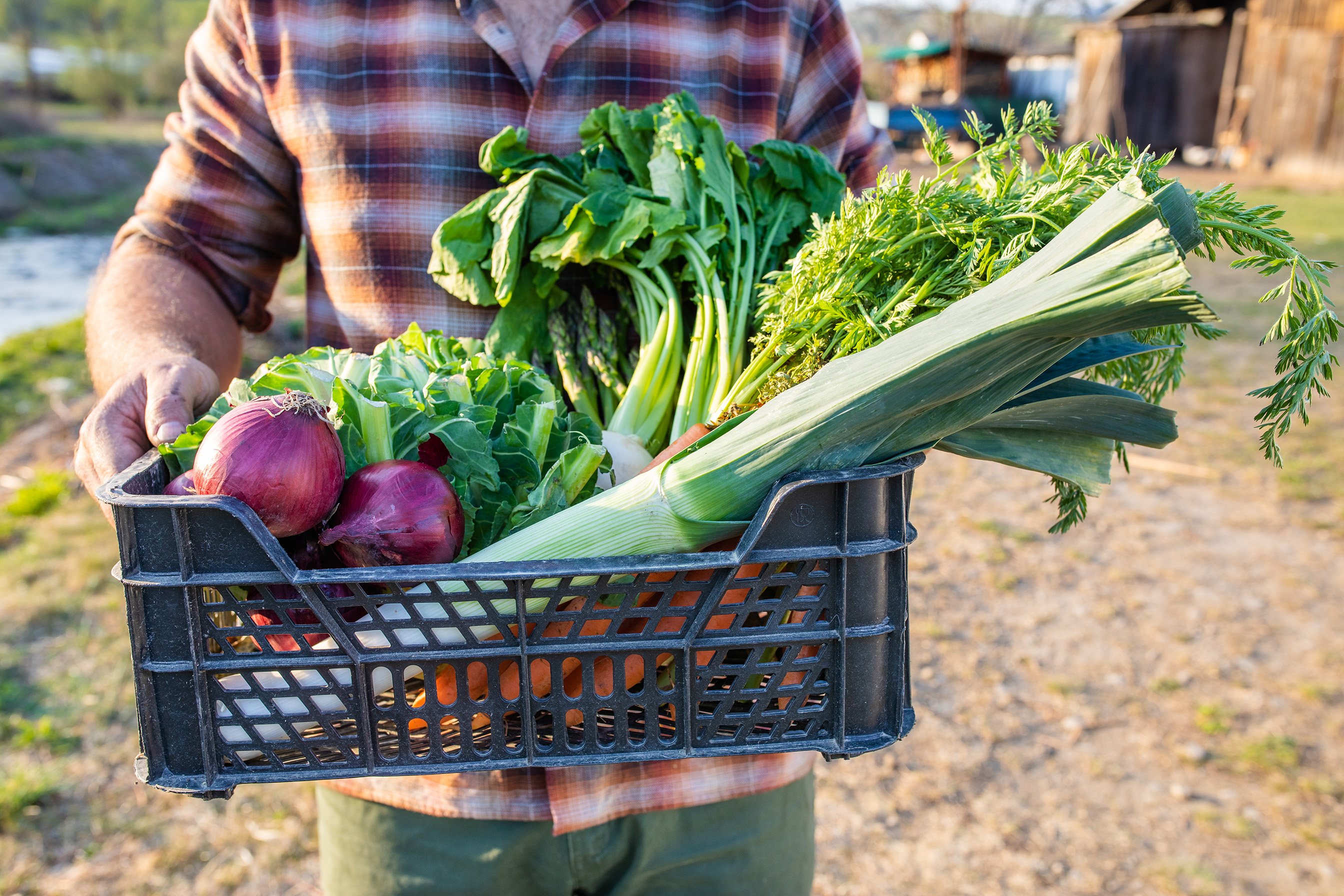 man die een krat met groenten vasthoudt